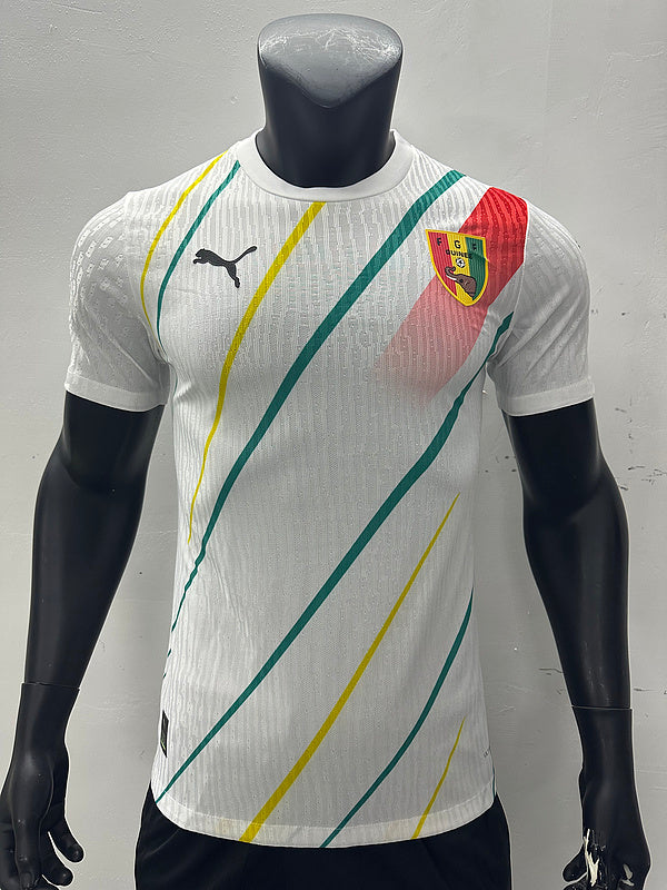 Guinée Maillot Extérieur 25/26