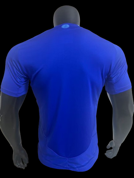 Argentine Maillot Extérieur 24/25 – Version Player