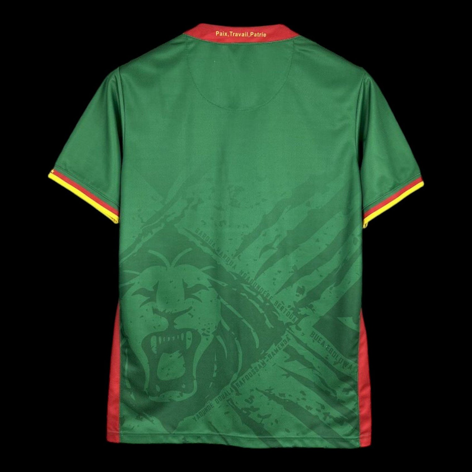 Cameroun Maillot Domicile 25/26