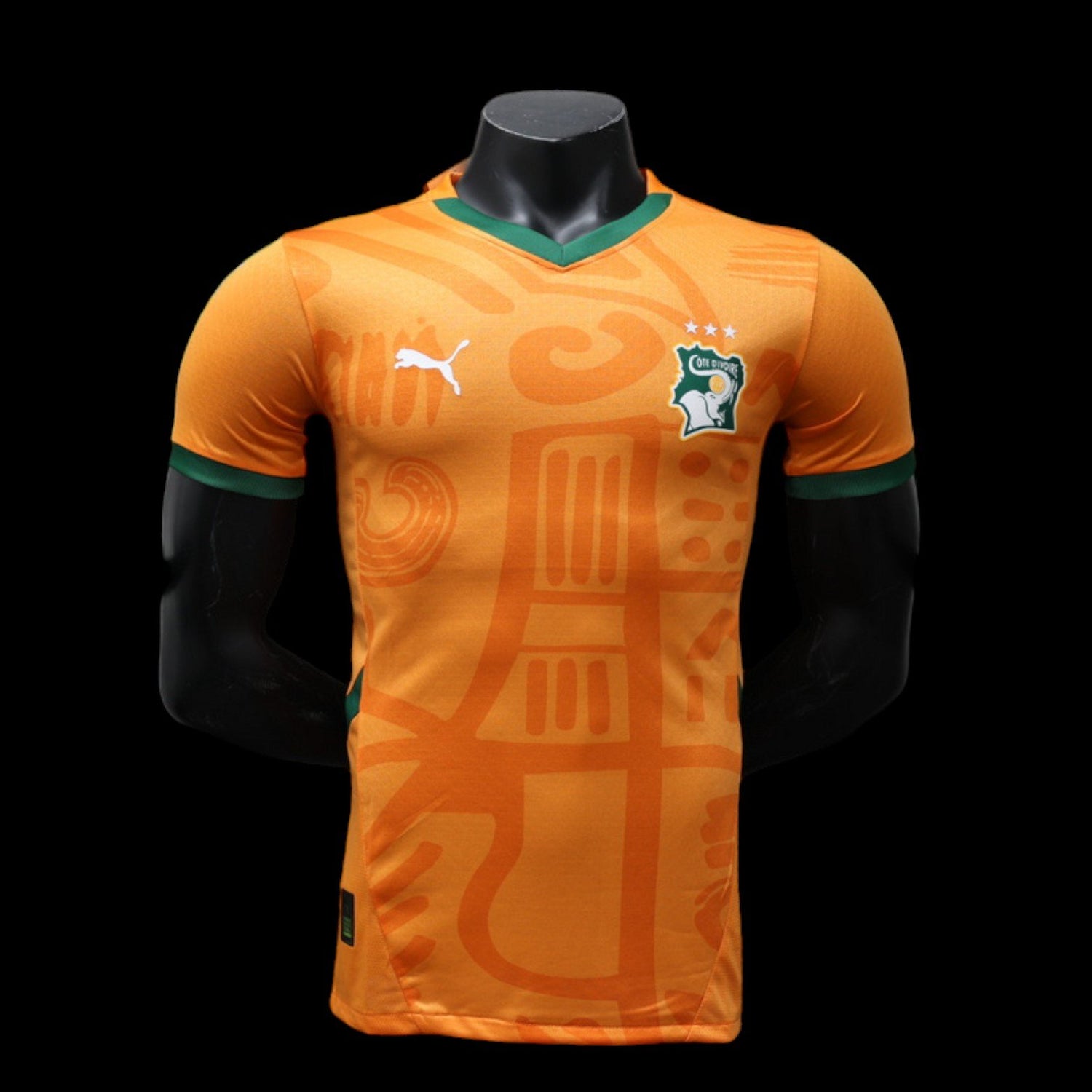 Cote d’Ivoire Maillot Domicile 24/25 – Version Player