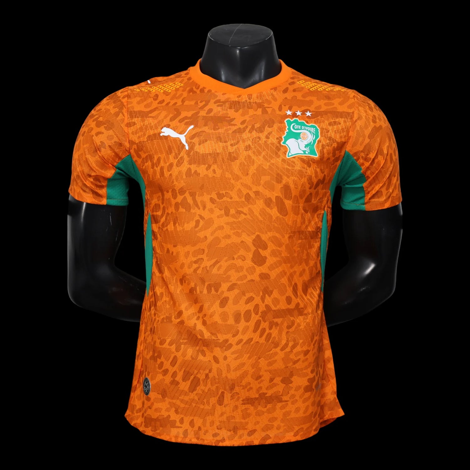 Cote d’Ivoire Maillot Domicile 26/27 – Version Player