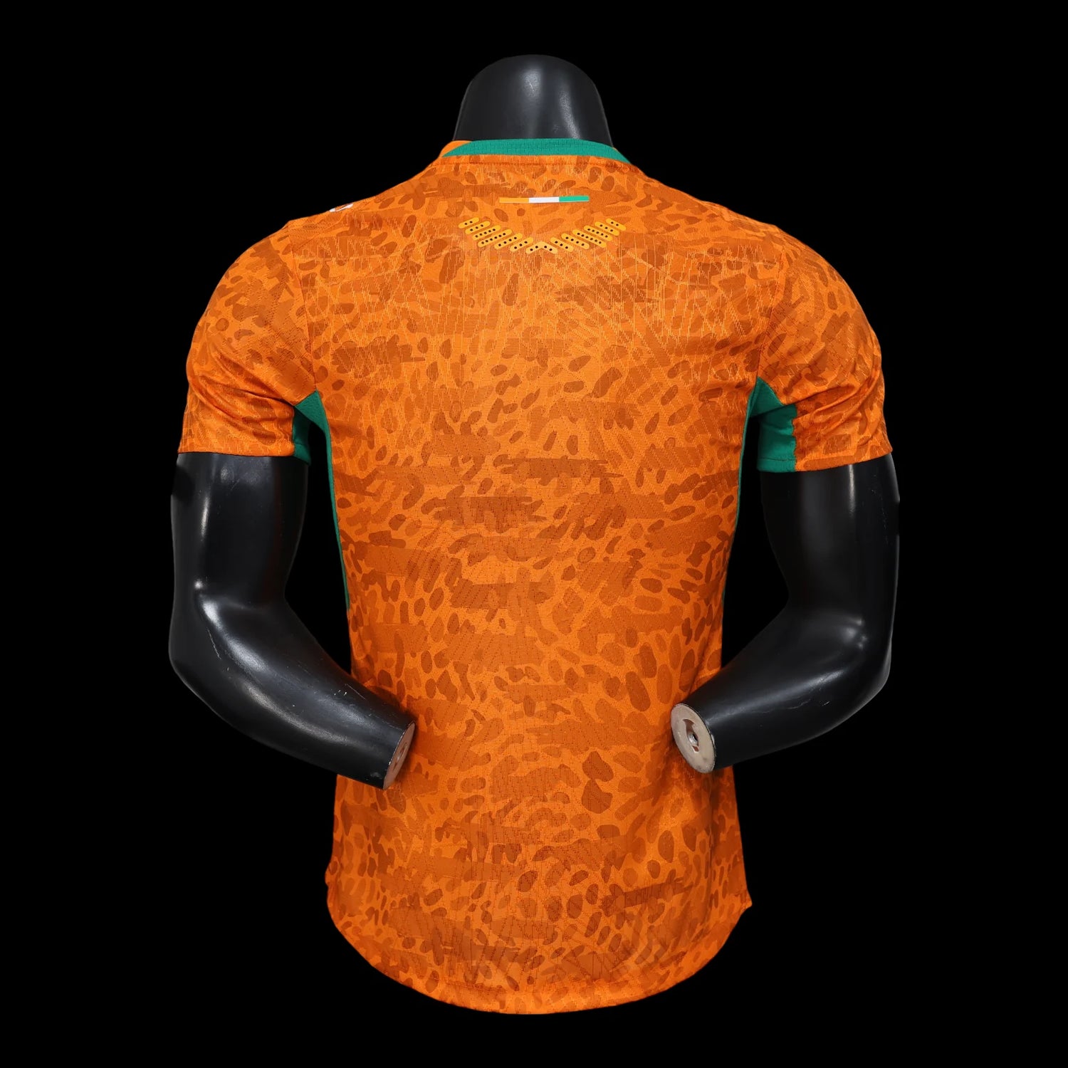 Cote d’Ivoire Maillot Domicile 26/27 – Version Player