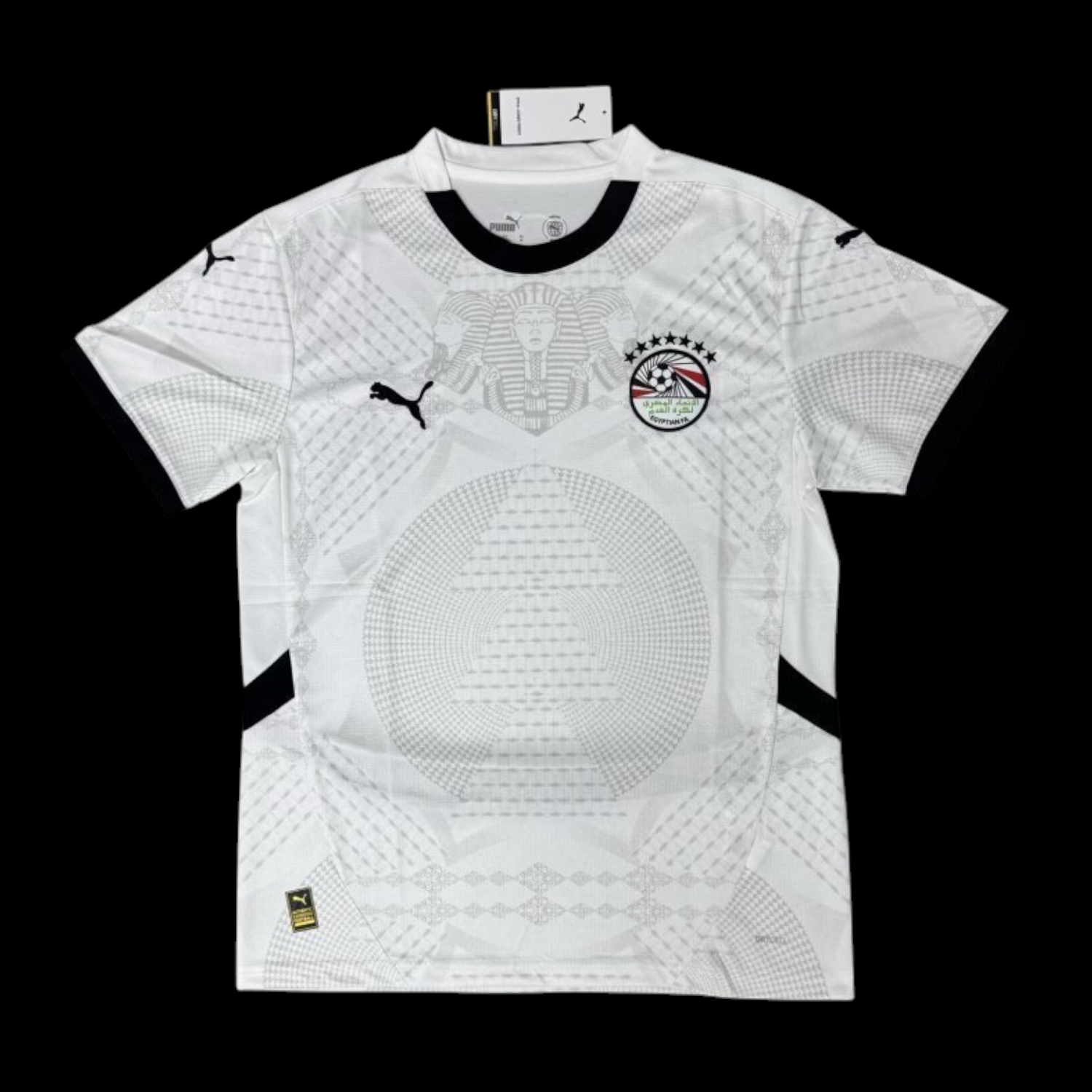 Egypte Maillot Extérieur 25/26