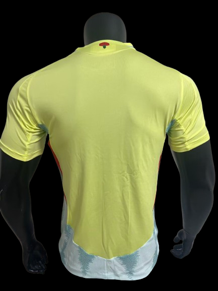 Espagne Maillot Extérieur 24/25 – Version Player