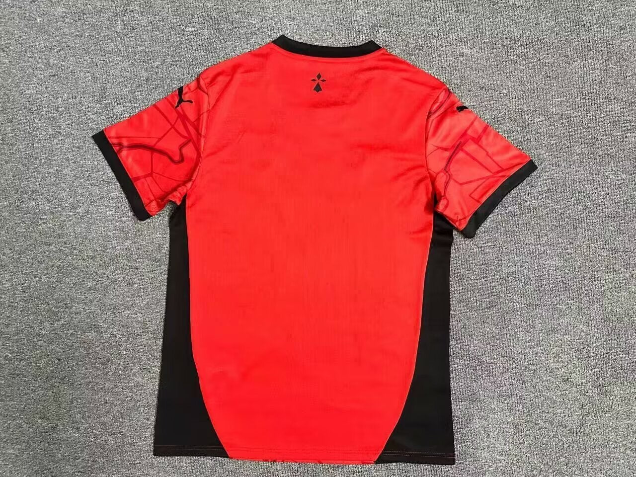 Rennes Maillot Domicile 24/25