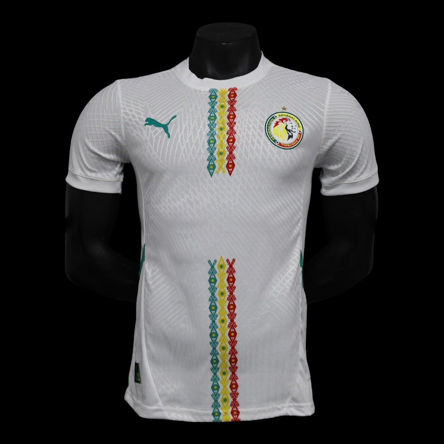Sénégal Maillot Domicile 25/26 – Version Player