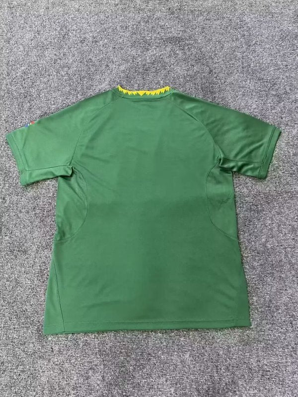 Afrique du Sud Maillot Domicile 25/26